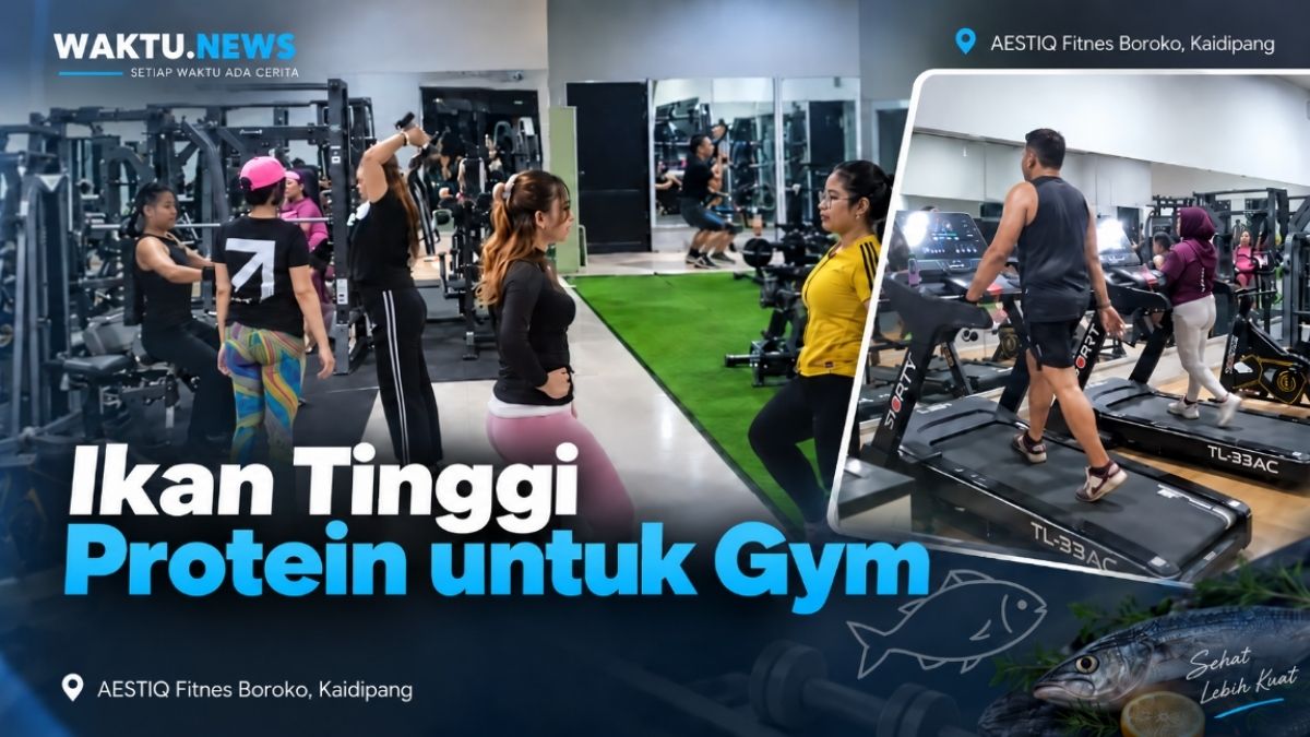 ikan tinggi protein untuk gym