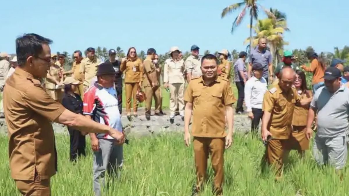 kekeringan pertanian Minahasa Tenggara