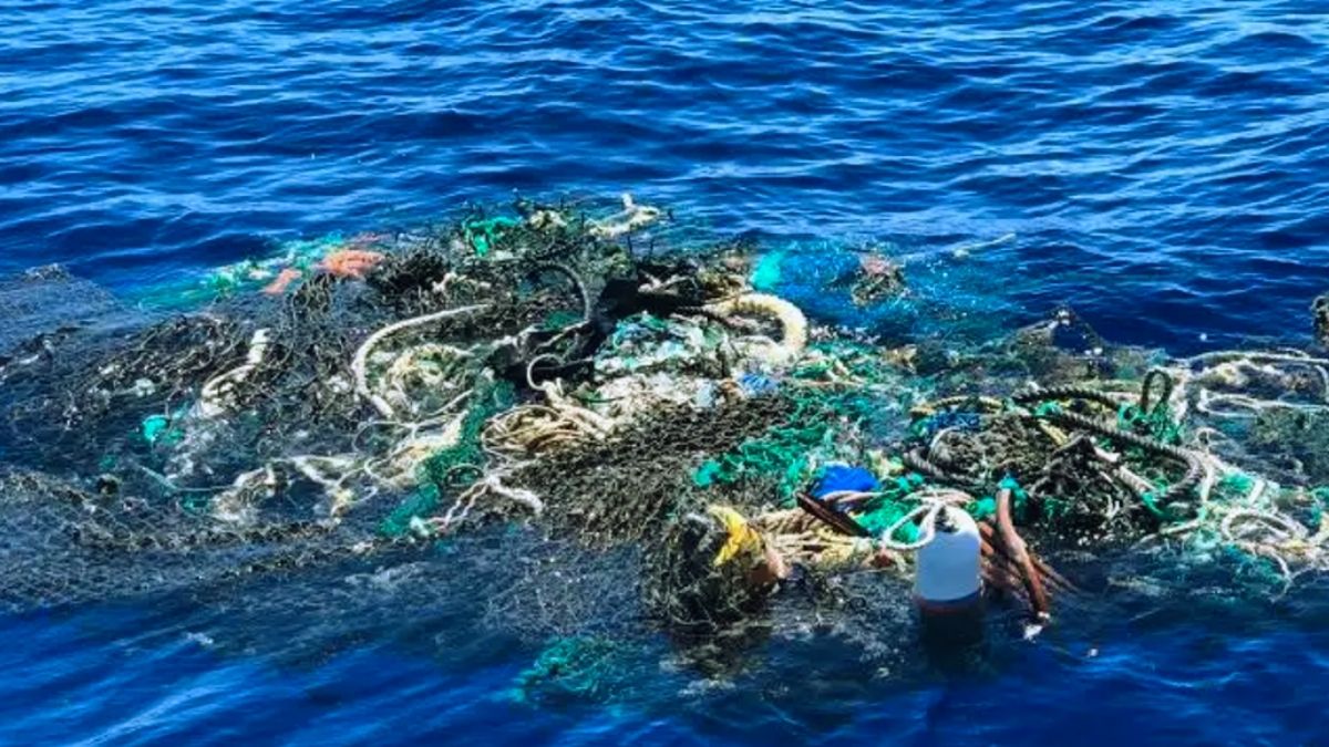 Krisis Sampah Masalah Lingkungan
