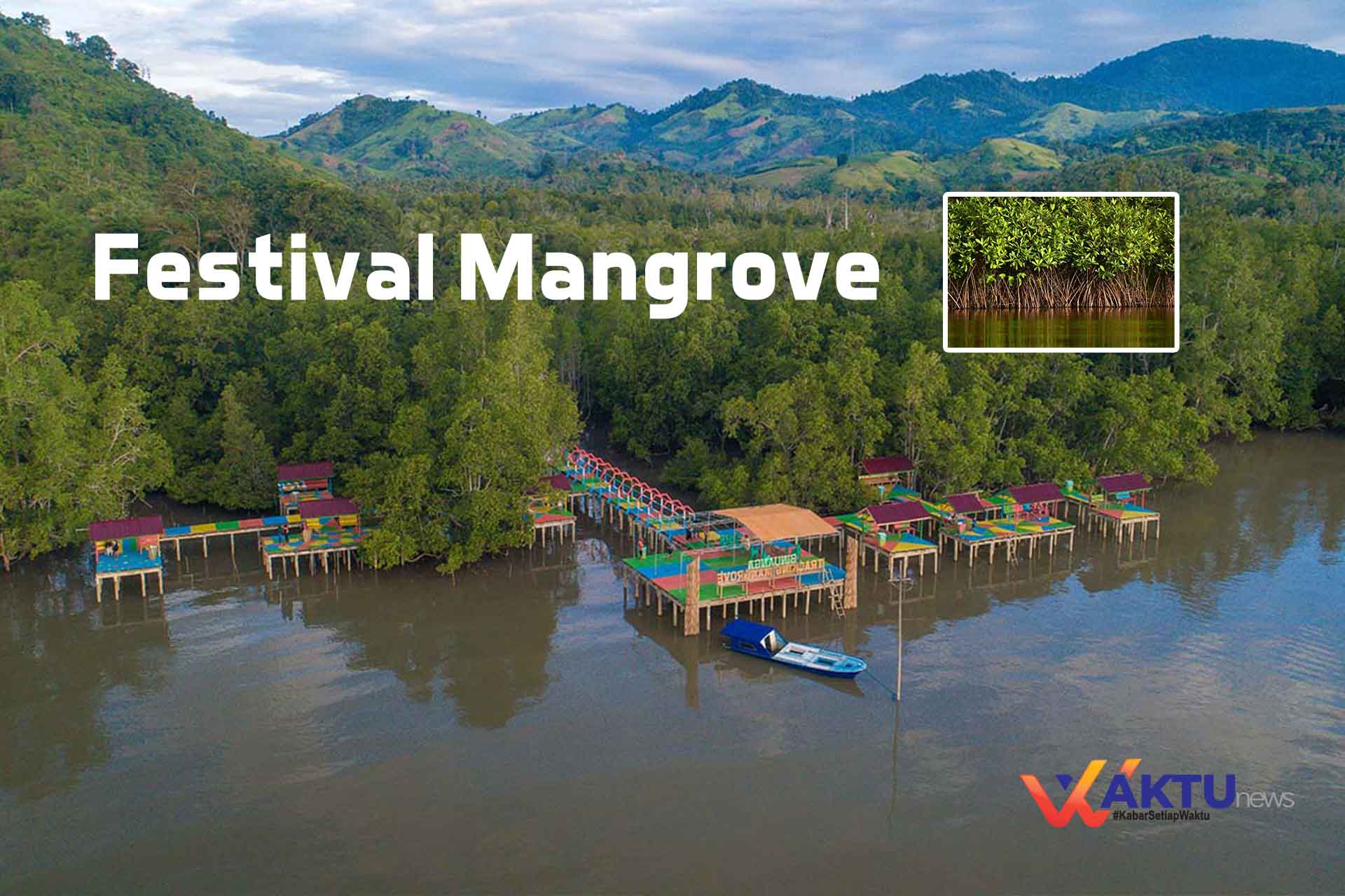 Festival Mangrove