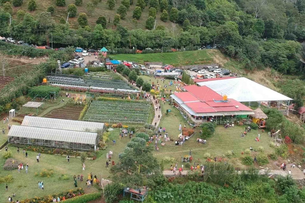 Kebun Strawberry D'Mooat