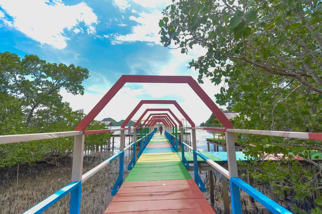 Foto Tracking Mangrove Binuanga