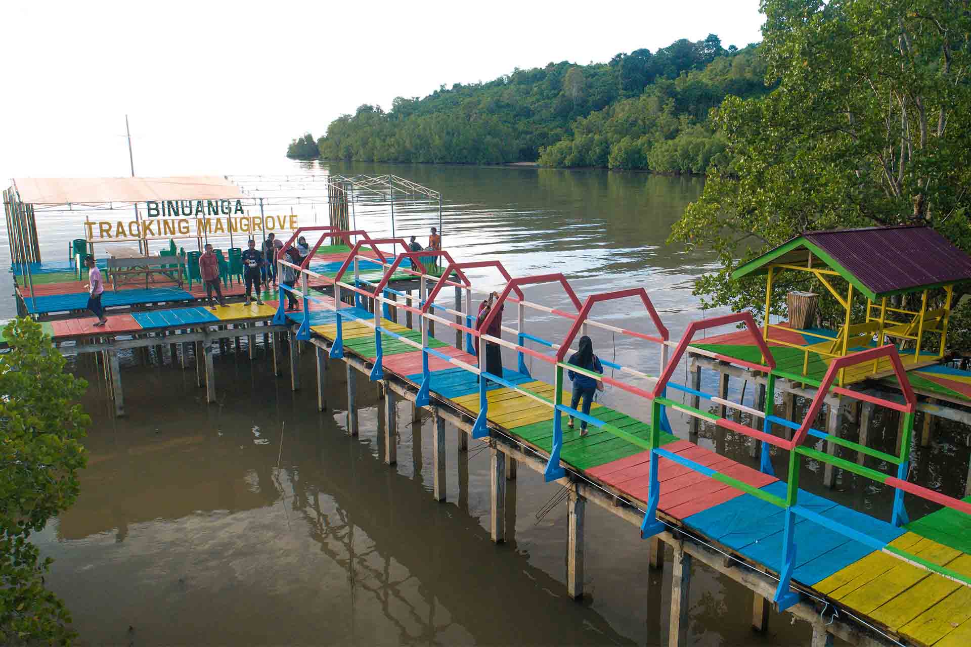 Foto Tracking Mangrove Binuanga
