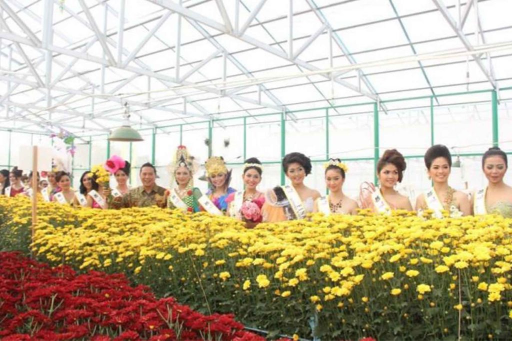 festival bunga tomohon