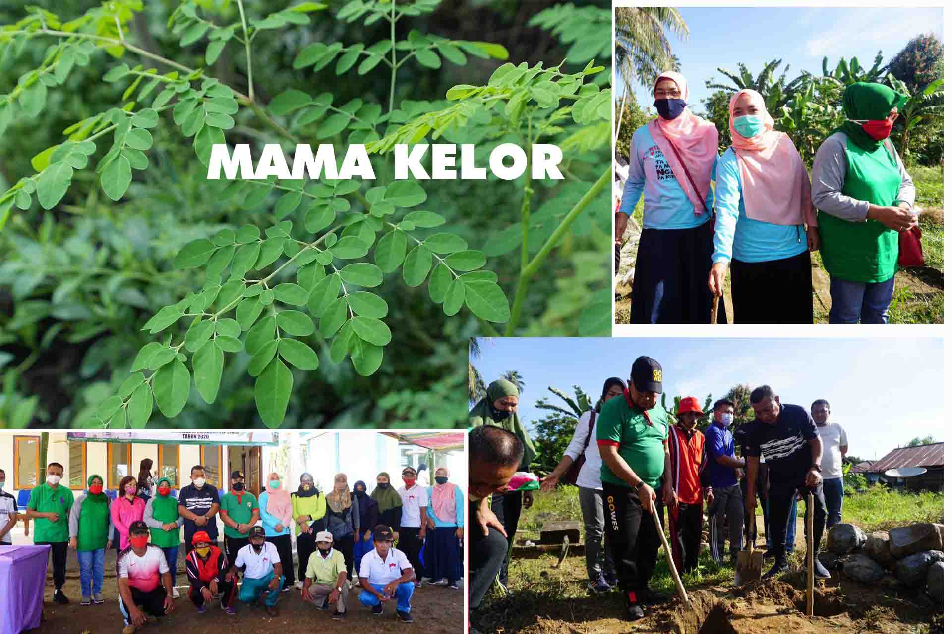 Mama Kelor