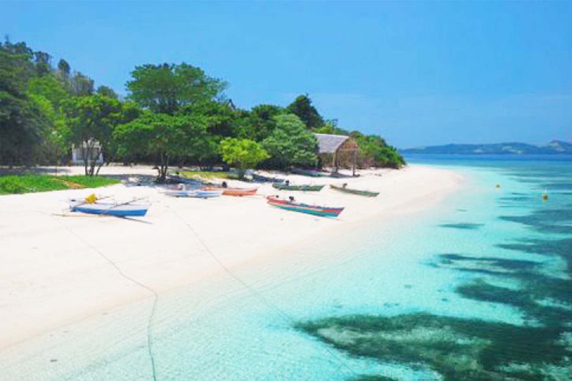 Liburan Anti Mainstream? Coba Selam di Pulau Bunaken, Surganya Laut Sulawesi