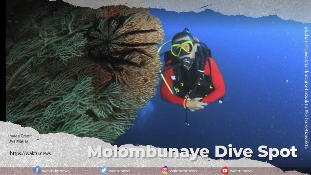 Molombunaye Dive Spot