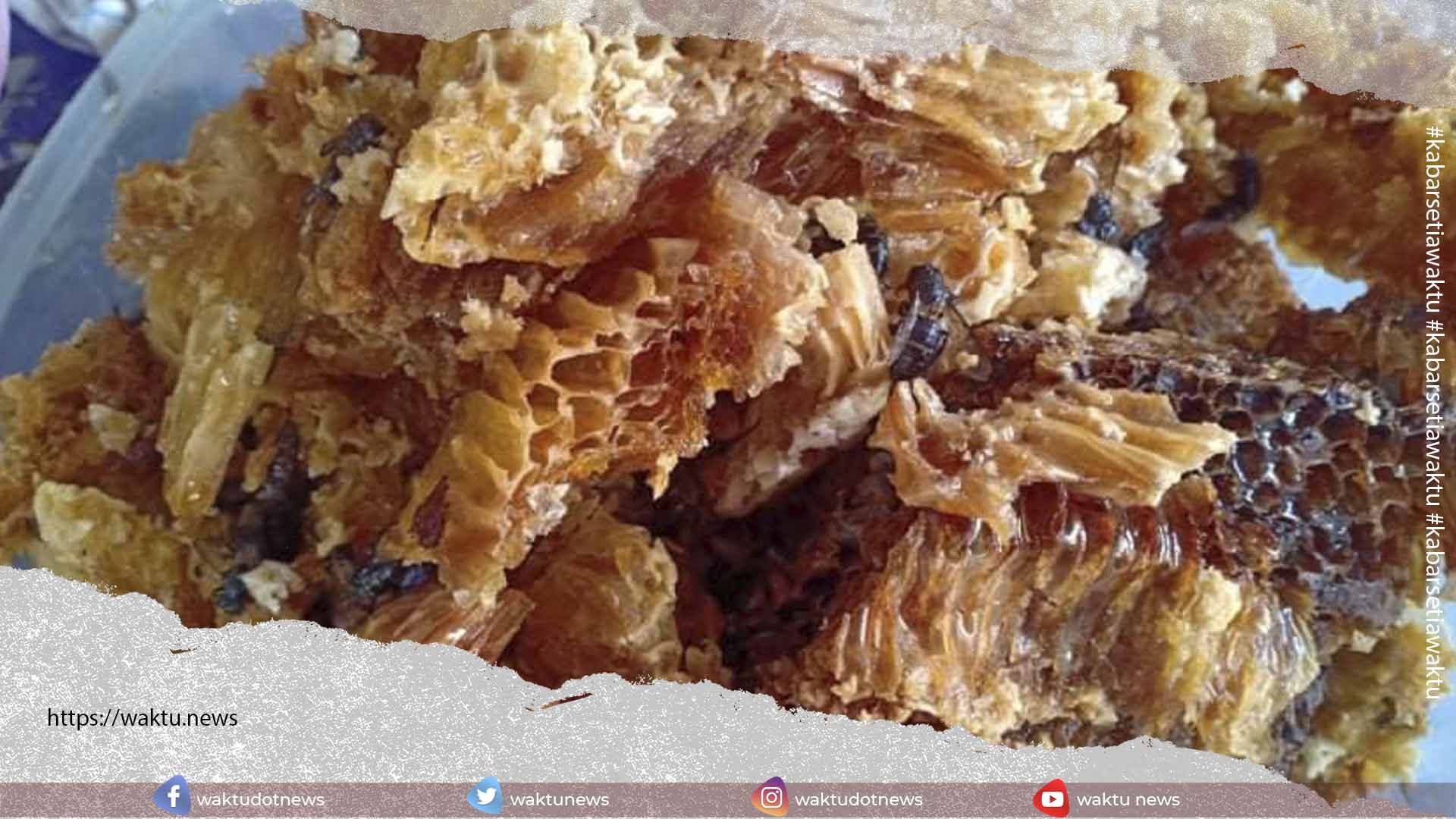 Manfaat Madu Bagi Kesehatan Menurut Islam