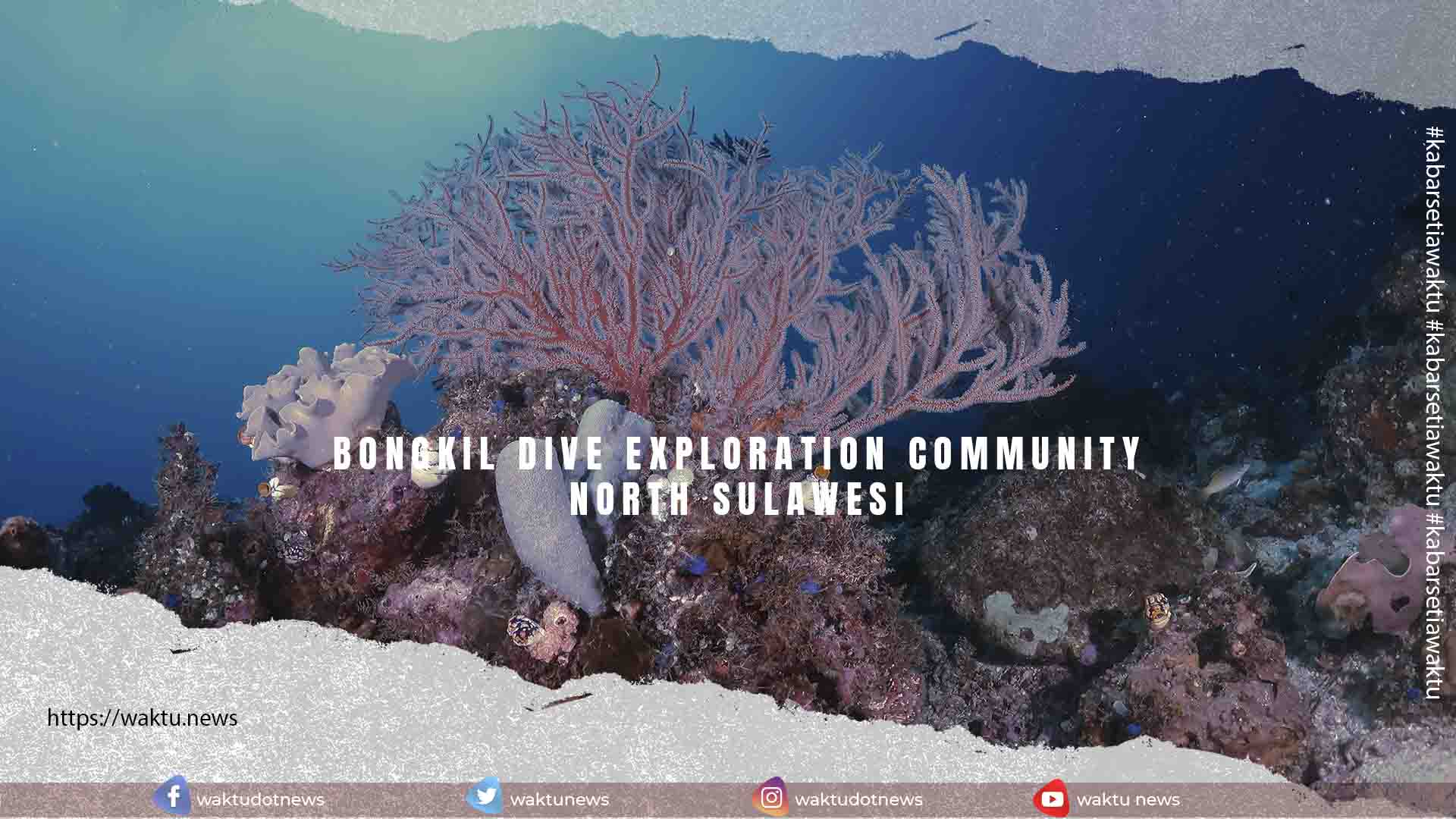 Bongkil Dive Exploration Community North Sulawesi