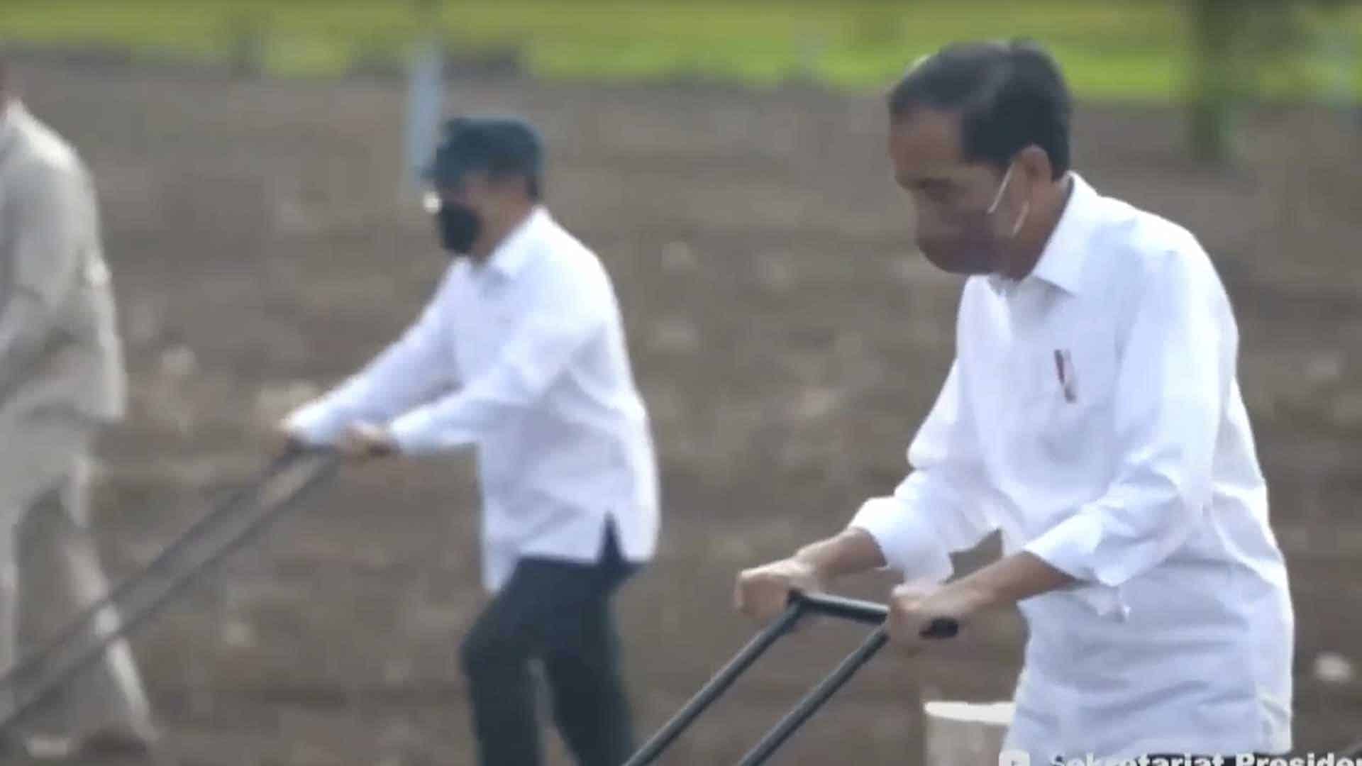 Jaring Pengaman Sosial APBD