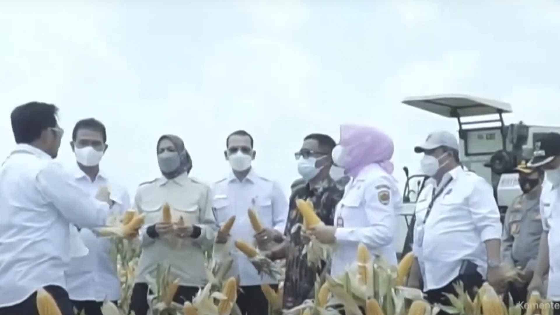 Pemerintah Menaikkan Produksi Jagung