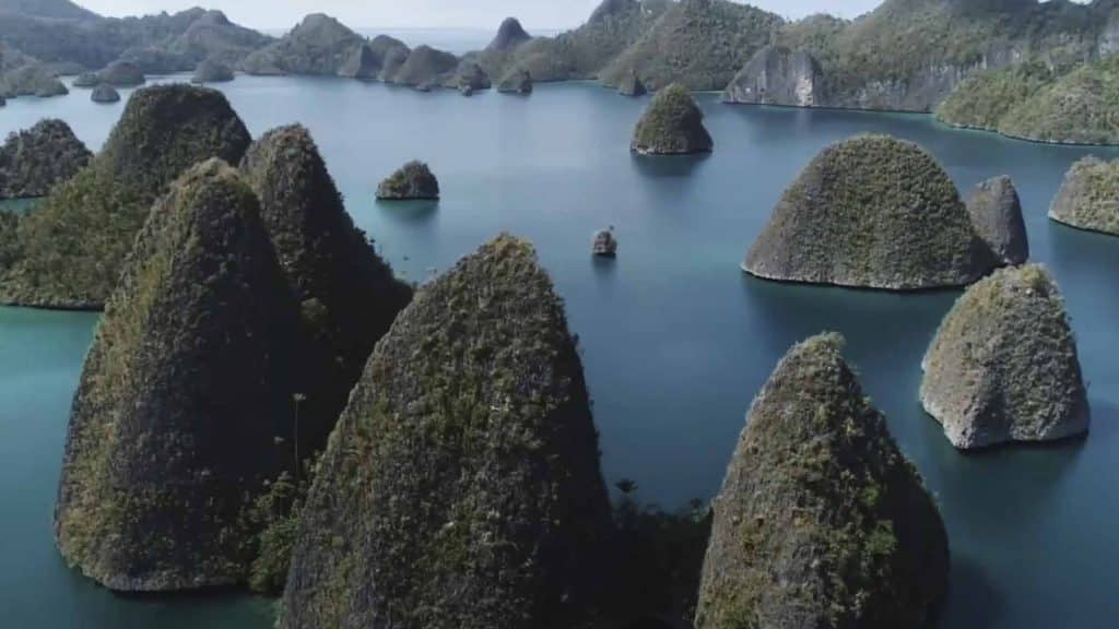 Pulau Waigeo Raja Ampat