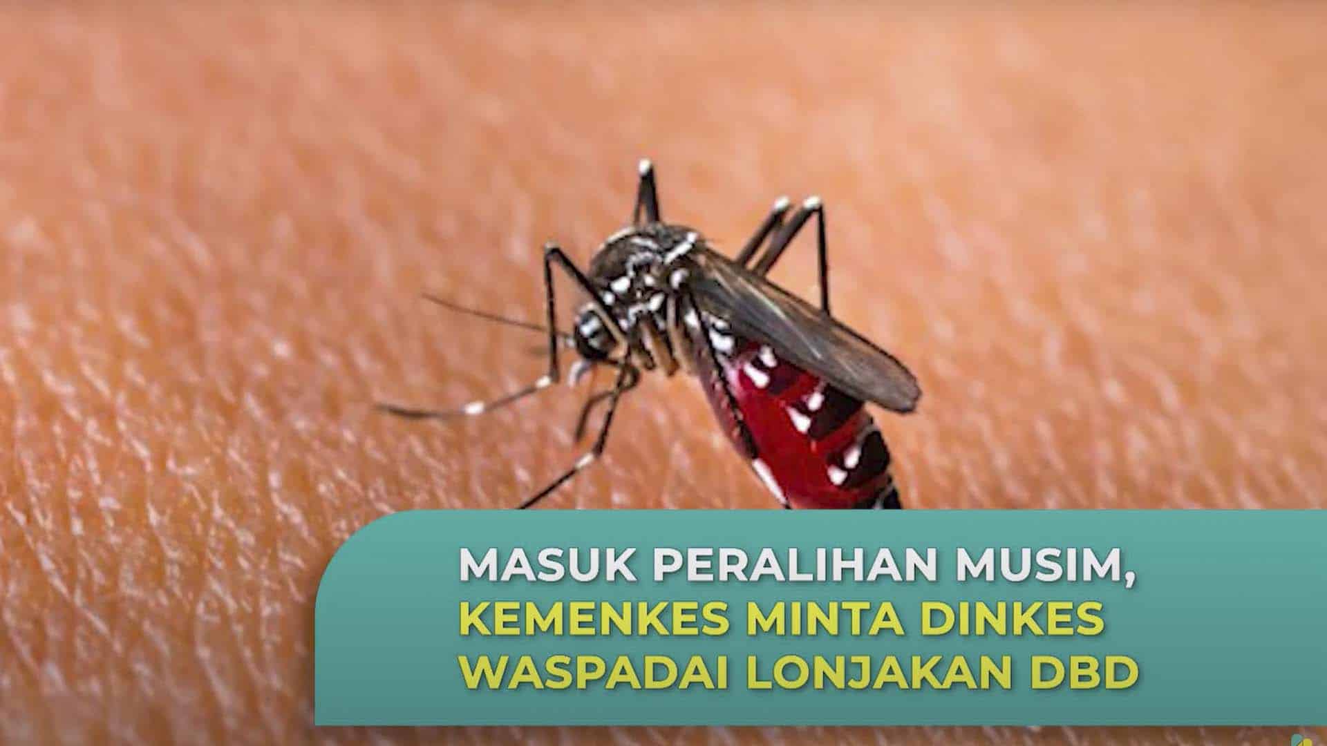 Dinkes Waspadai Lonjakan DBD