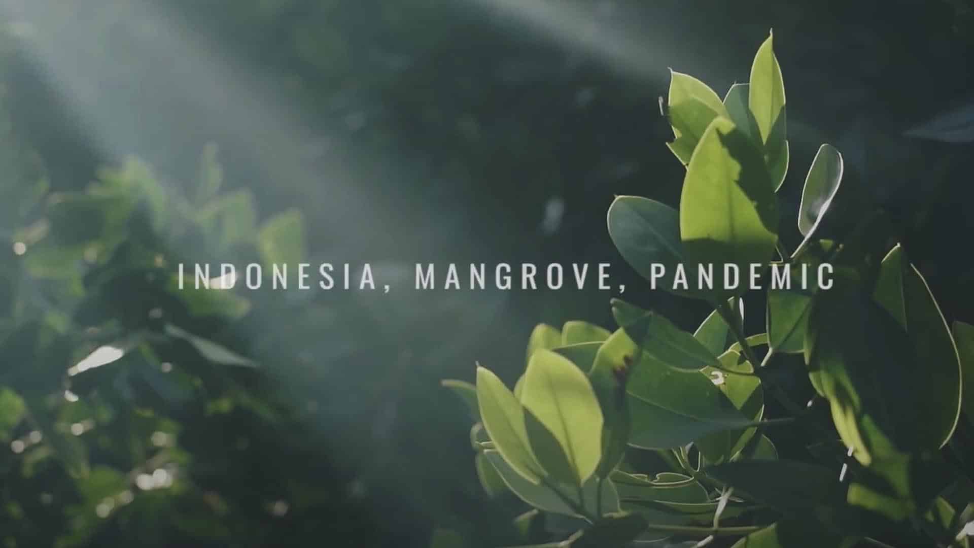 Hutan Mangrove