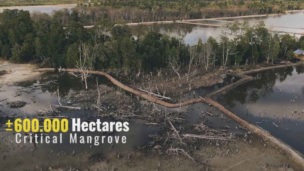 Hutan Mangrove