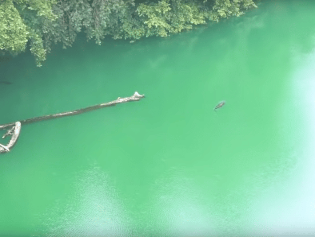 Danau Tolire