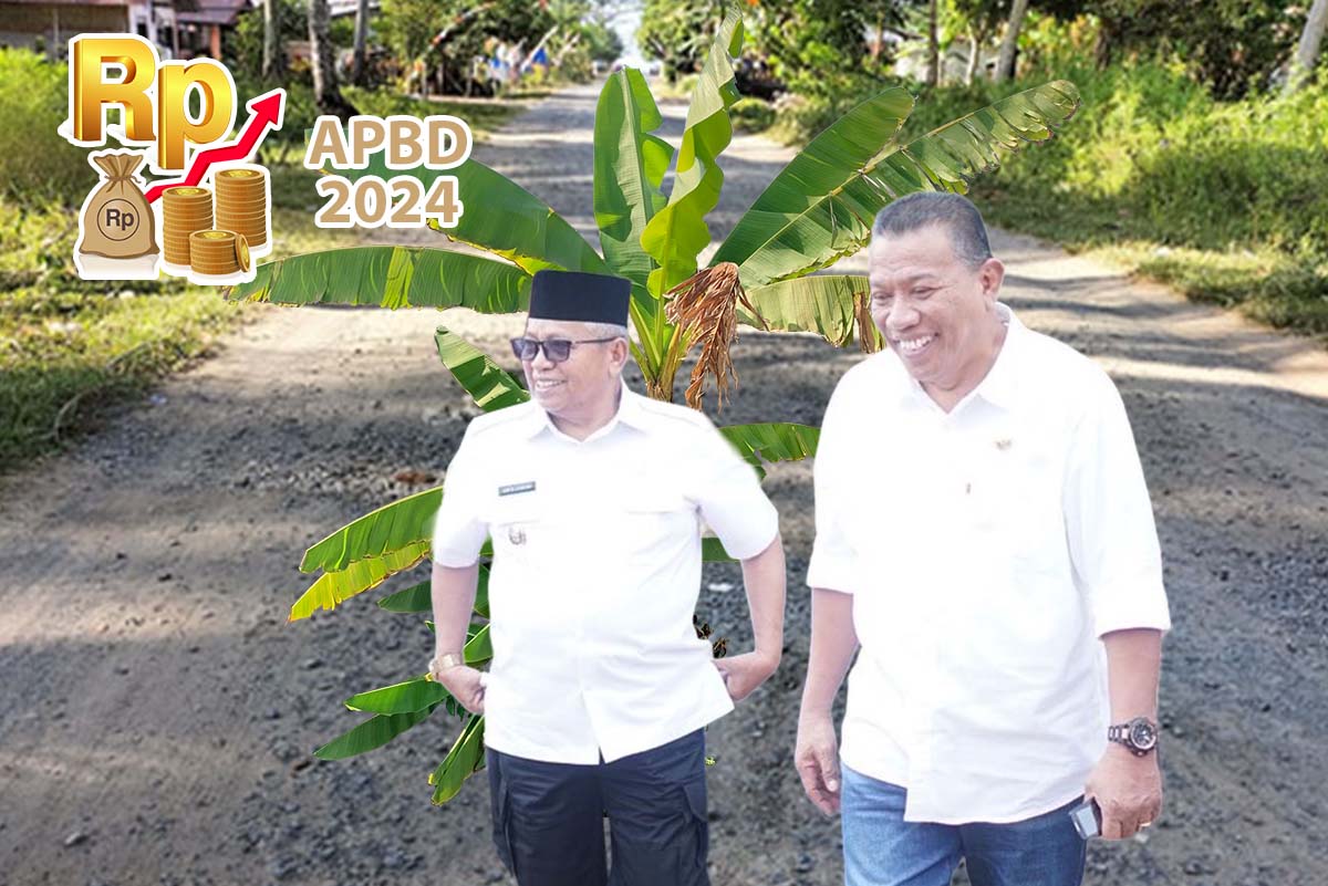Pohon Pisang di Jalan Boroko Timur