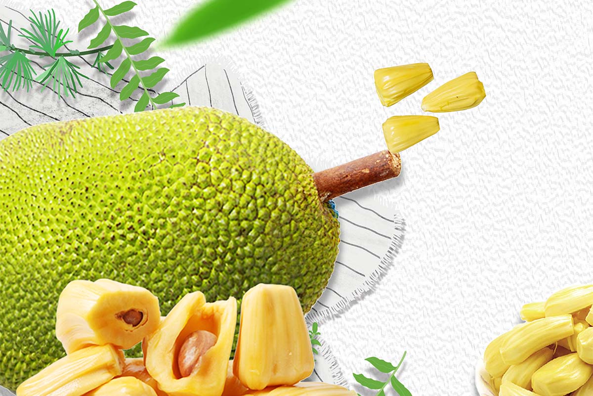 Manfaat Buah Nangka