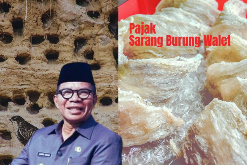 Pajak Sarang Burung Walet Bolmut