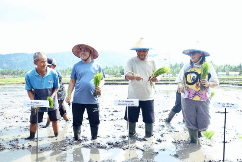 Ketahanan pangan Sulut