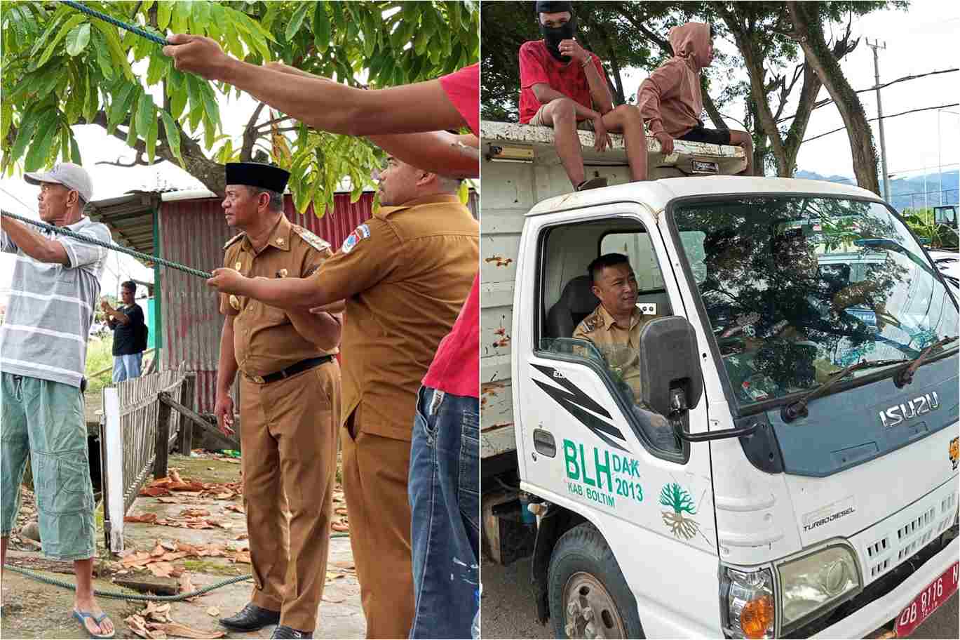 Bupati dan Wakil Bupati Boltim memantau pemangkasan pohon di Tutuyan