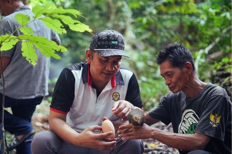 konservasi burung Maleo