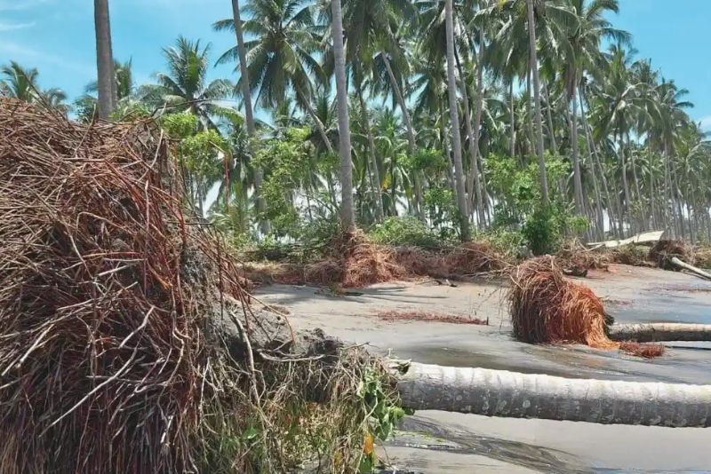 abrasi pantai Busisingo Utara