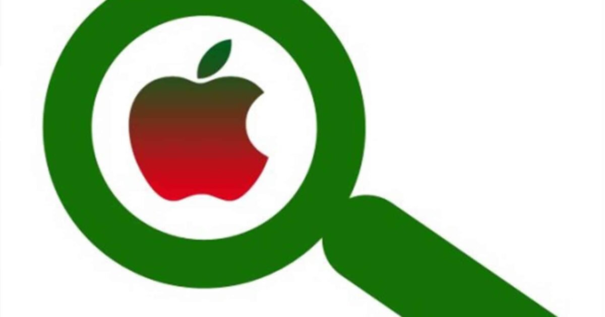 Apple Membangun Mesin Pencari