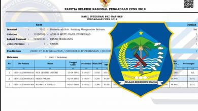 Hasil integrasi SKD dan SKB pengadaan CPNS 2019 Kabupaten Bolsel