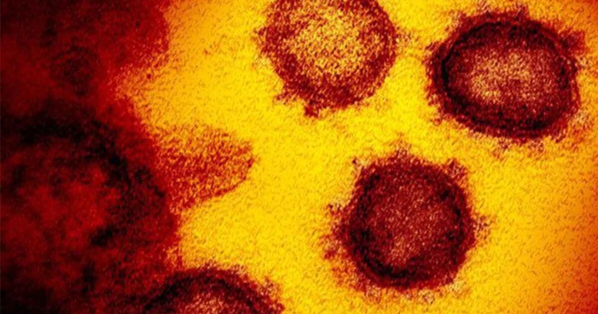 Penyakit yang Lebih Ganas dari Corona