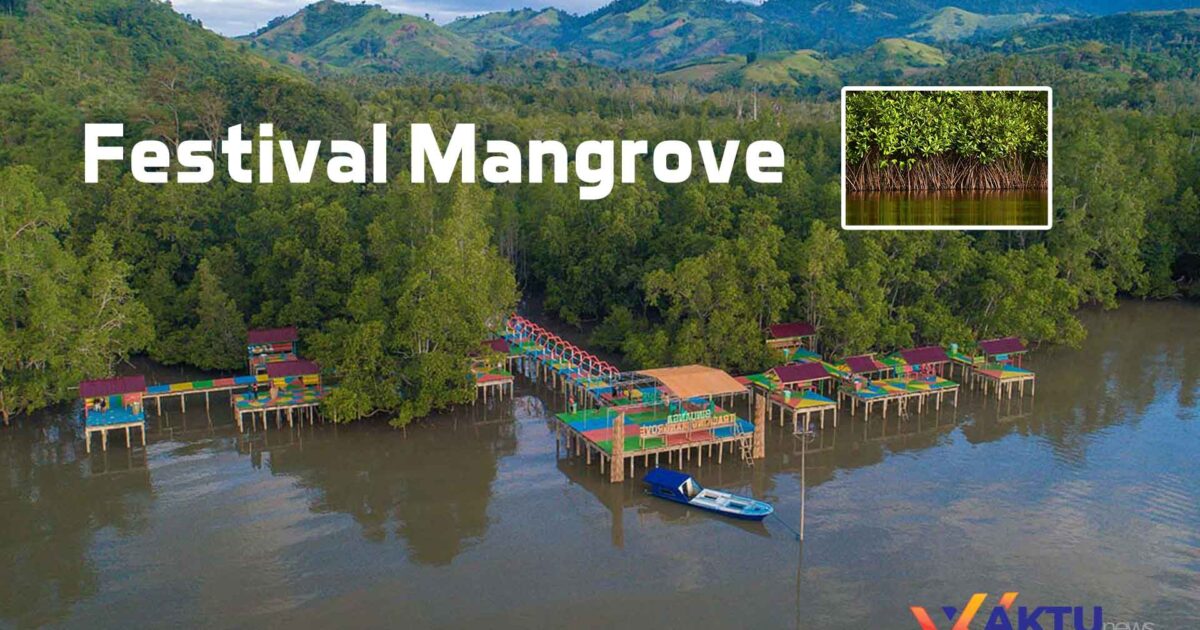 Festival Mangrove