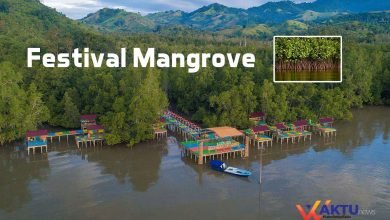 Festival Mangrove