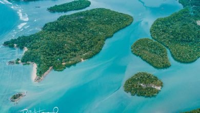 pulau damar boroko