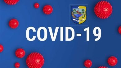 Covid-19 Bolmut