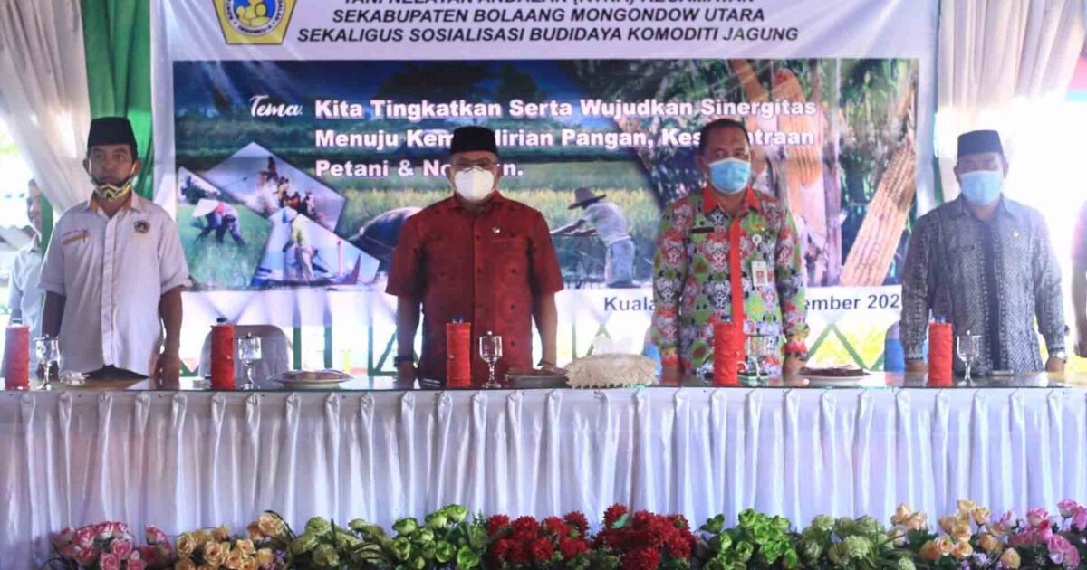 Budidaya Komoditi Jagung