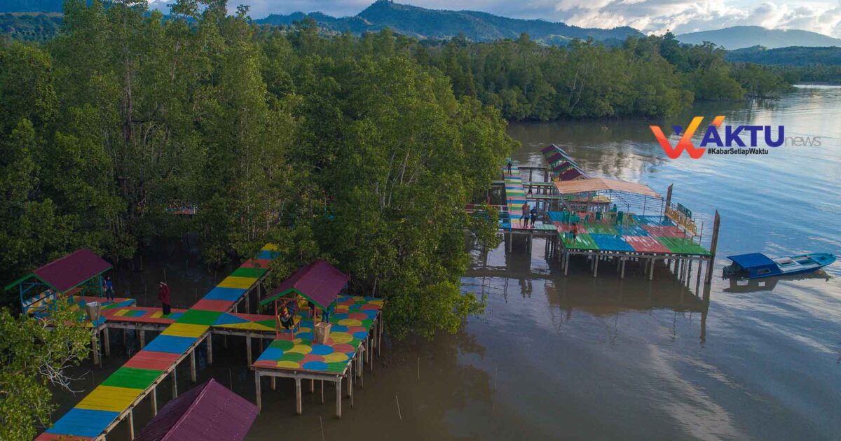 Tracking Mangrove Binuanga