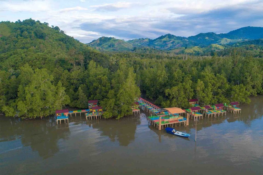 Foto Tracking Mangrove Binuanga