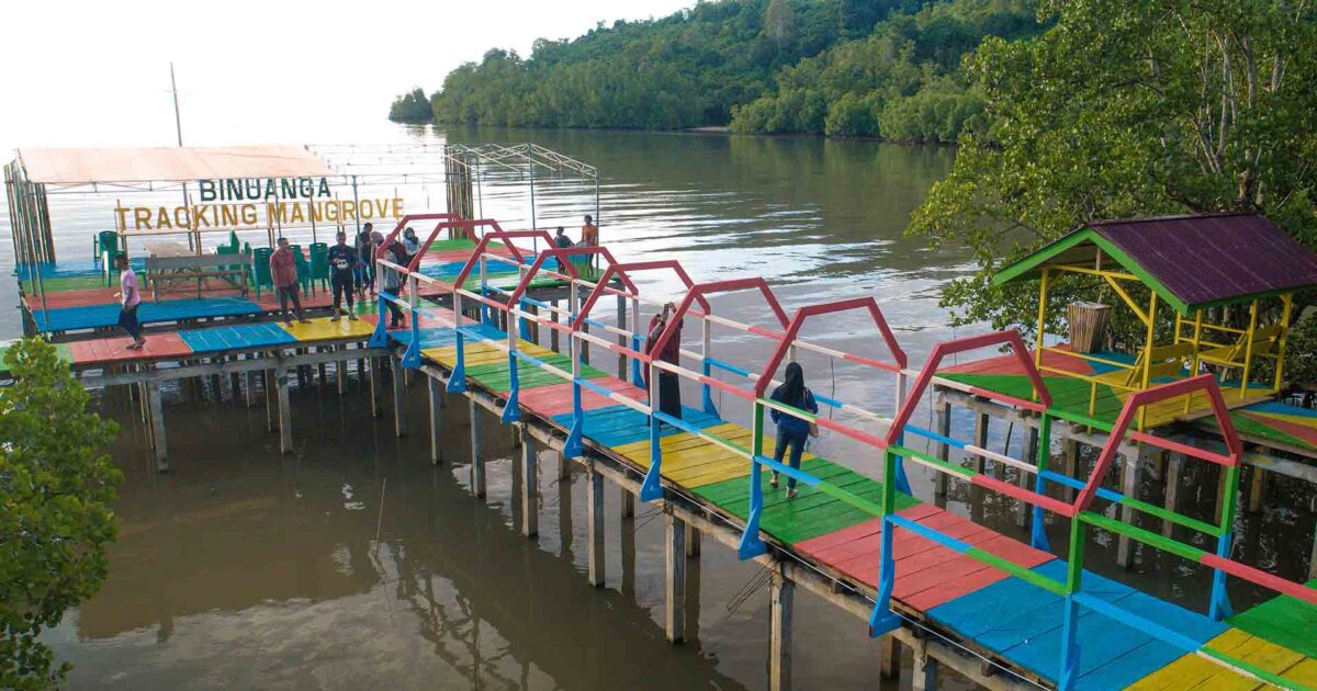 Foto Tracking Mangrove Binuanga