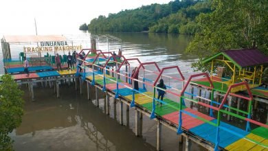 Foto Tracking Mangrove Binuanga