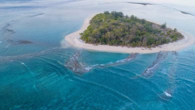 Pulau Bongkil