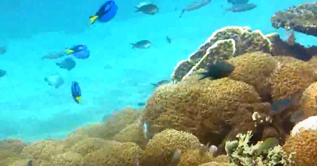 Tempat Wisata Bolsel