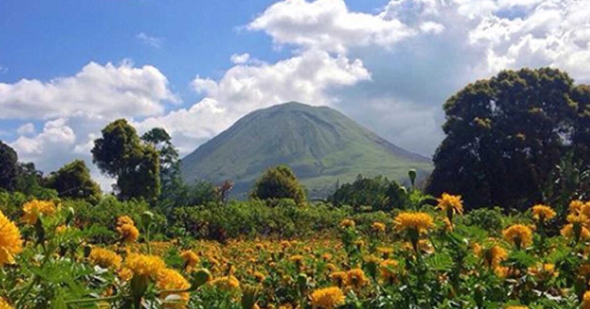 Festival bunga tomohon