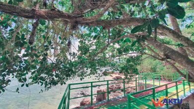 Foto Jembatan Batu Pinagut