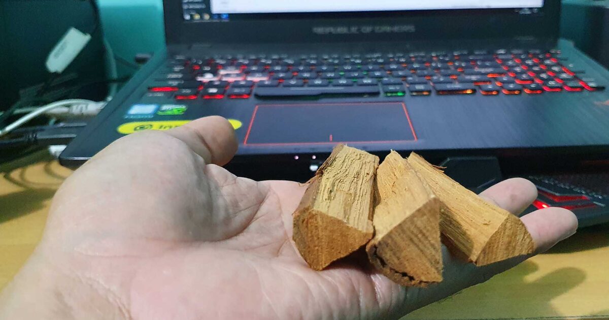 Manfaat Kayu Bajakah