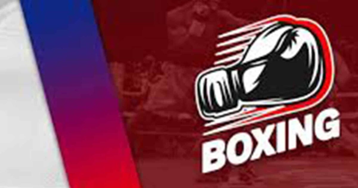 Penjualan PVP Terlaris