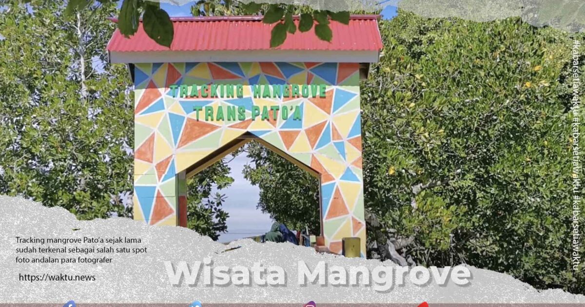 Tracking mangrove Pato’a