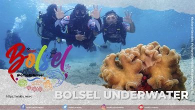 Wisata Underwater Bolsel