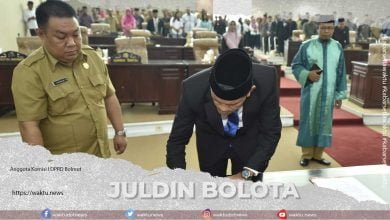 juldin bolota