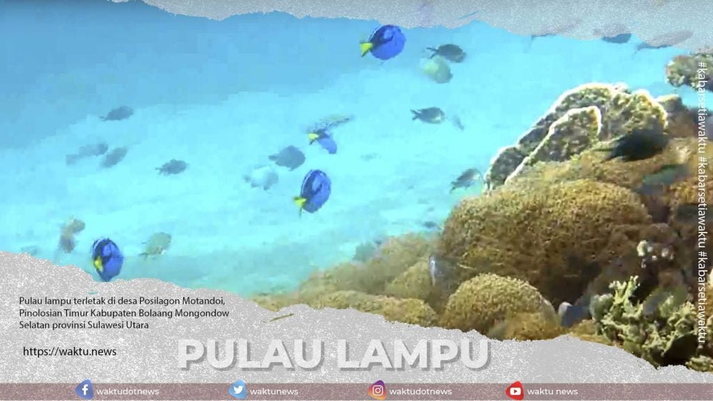 pulau lampu