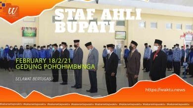 Staf Khusus Bupati Bolmut